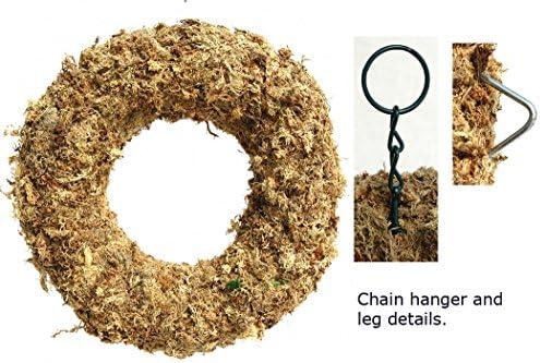 9" Sphagnum Moss Living Wreath Round, Natural-Organic Original - 6 Wreaths Value Combo - Image 2