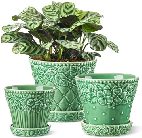 Metahom Ceramic Plant Pots Set of 3, Green Color, Embossed Design by Metahom