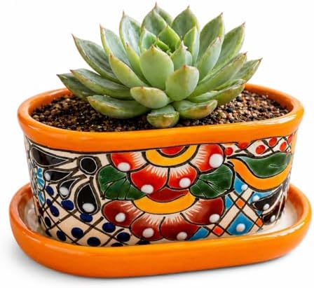 Small Ceramic Pot - Flower Planter with Drainage for Cactus Bonsai Succulents - Desk Size - Maceta Ceramica Multicolor by CasaFiestaDesigns
