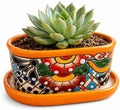 Small Ceramic Pot - Flower Planter with Drainage for Cactus Bonsai Succulents - Desk Size - Maceta Ceramica Multicolor by CasaFiestaDesigns