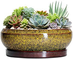 Succulent Pots Large - 13 Inch Ceramic Bonsai Pot with Drainage Hole and Tray, Round Succulent Planters, Shallow Plant Pots Indoor, Bowl Planter Outdoor, Garden Decor, Gardening Gift, Yellow by EPFamily