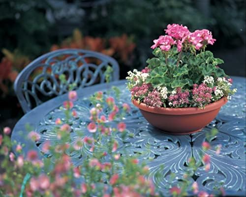 The HC Companies 20 Inch Large Garden Bowl Planter - Shallow Plant Pot with Drainage Plug for Indoor Outdoor Flowers, Herbs, Chocolate - Image 4