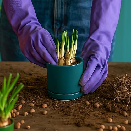 D'vine Dev 4-Pack Ceramic Pots with Saucers, Teal, 3.5 in, 94-X-A-9 - Image 7