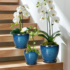 Plant Pots Indoor, Ceramic Planters Pots with Drainage Holes and Saucers, 10+8+6 Inch, Set of 3, Round Large Flower Pots for Indoor Outdoor Plants, Blue - Image 4
