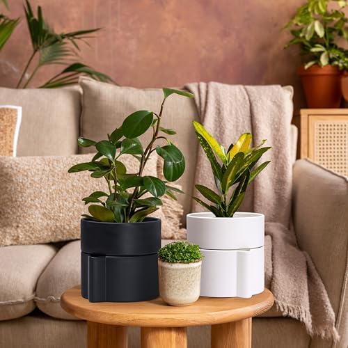 Phoenix Vine 8 Inch Self-Watering Planter Pot with Terracotta Insert, Deep Water Reservoir, and Ceramic-Alike BPA-Free Plastic Planter Pot for Plant, Modern Planter for Houseplants, White, 53-A-T-1 - Image 6