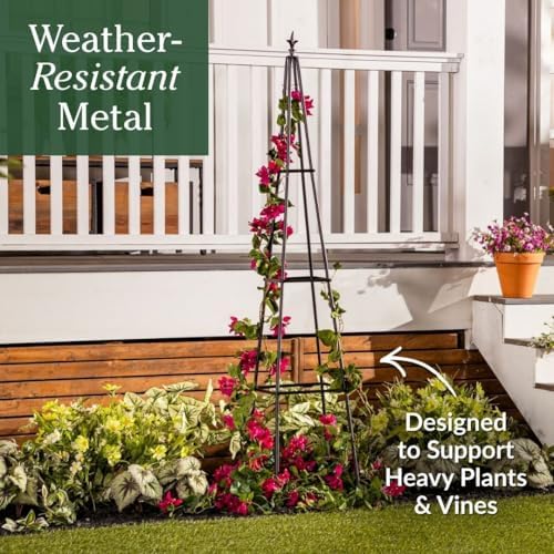Evergreen Metal Garden Obelisk Trellis for Climbing Plants Outdoor, Indoor Plant Trellis for Potted Plants, Floral Pattern Arch Trellis (Black, 6 ft. Pyramid, Set of 2) - Image 5
