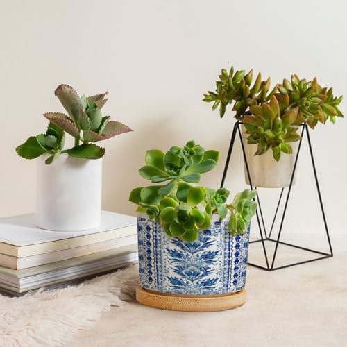 French Cairo Blue and White Ceramic Planters Chinoiserie Floral Planters for Indoor Plants with Drainage Holes and Saucers Pot for Home Office Desk Garden - Image 4