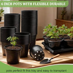 RooTrimmer 6 Inch Plastic Plant Pots 30 Pack and 6 Cell Nursery Pots Trays 5 Pack, Sturdy Seeds Starting Germination Shuttle Carrying Trays, Black Nursery Planting Propagation 5 Sets - Image 4