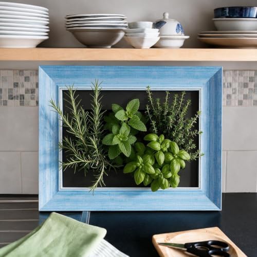 FRESH SPEED Self-Watering Wall Planters with 8-Hole Grow Sponges Blue Frame - Image 4