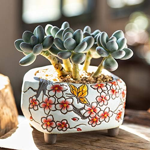 Succulent Pots 5 inch Hand Painted Cactus Plant Pot Clay Pot Flower Pot Planter Container with Drainage Hole Pack of 2 (Blossom Blue and Red) - Image 7