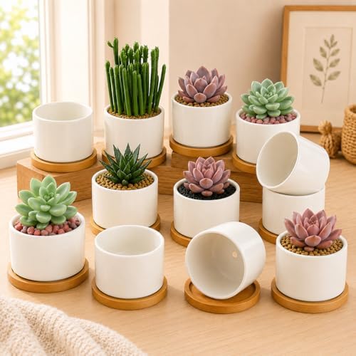 ZOUTOG 12 PCS 3.6" Ceramic Succulent Pots,White Planter with Drainage Tray by ZOUTOG