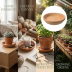 12 Pack Terracotta Saucer, 4.2 x 0.9 in Flower Pot Saucers, Round Clay Trays and Plant Saucers with High Rim Design for Indoor Outdoor Potted Plants, Succulents, Crafts - Image 7