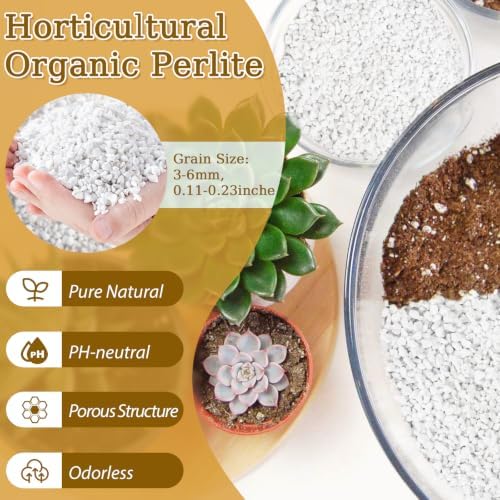 Riare 20QT Organic Perlite for Plants, Horticultural Perlite Soil Amendment - Image 2