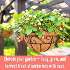 LaLaGreen Metal Hanging Planter (20 in, 4 Pack) Black Wire Basket Planters - Image 6