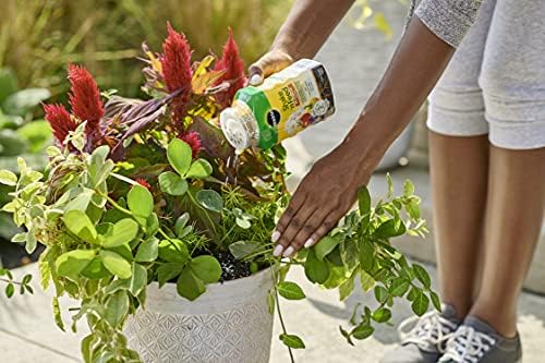 Miracle-Gro Shake 'N Feed Rose & Bloom Plant Food, 4.5 lb - Image 6