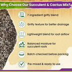 DUSPRO 7-in-1 Succulents & Cactus Soil Mix, Pre-Mixed & Ready to Use, 8 QT - Image 4