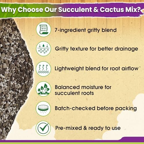 DUSPRO 7-in-1 Succulents & Cactus Soil Mix, Pre-Mixed & Ready to Use, 8 QT - Image 4