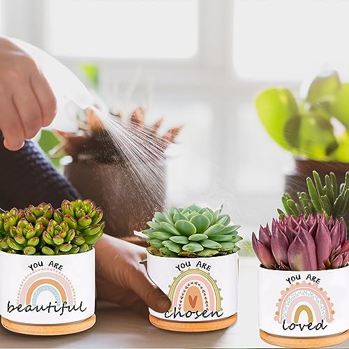 SAIWEILAI ONLINE 9 Pieces for Women Inspirational Succulent Pots with Drainage Thank You Gifts for Employee Teacher Nurse - Image 4