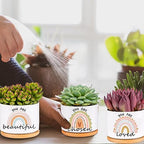 SAIWEILAI ONLINE 9 Pieces for Women Inspirational Succulent Pots with Drainage Thank You Gifts for Employee Teacher Nurse - Image 4