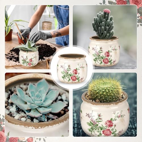 7.7" Large Ceramic Plant Pot Beige Red Romantic Rose Crackle Glaze Rustic Flowers Pot Decorative Planter with Drainage for Indoor Outdoor Plants Home Kitchen Office Decor Gift - Image 6