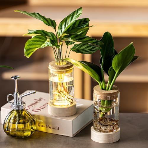 Glass Plant Propagation Stations, Propagation Vases for Plants with Ambient Light Base, Hydroponic Vase for Home & Office Windowsill Tabletop Decoration Desktop Vases for Living Room, Bedroom (6) - Image 6