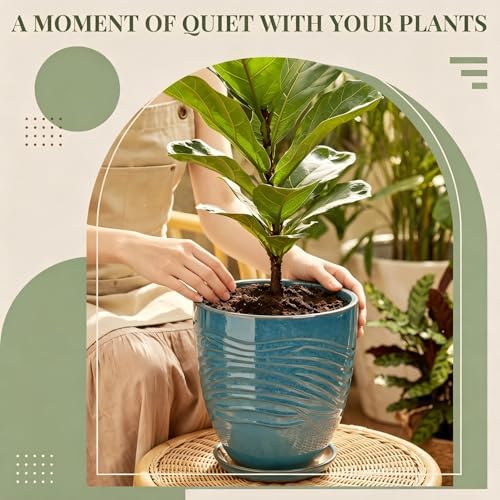 9.5 Inch Modern Ceramic Plant Pot with Saucer, Flower Pot with Drainage Hole Mesh Net,Indoor Outdoor Planter (Crackle-Blue) - Image 5