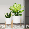 ARNIS Plants Pots with Stand, Set of 2 P lanters, Unique Mid Century Decorative Metal Flower Pots with Drainage, 8.25 & 10.5 Inch, White and Gold by ARNIS
