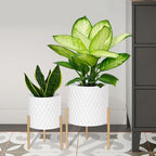 ARNIS Plants Pots with Stand, Set of 2 P lanters, Unique Mid Century Decorative Metal Flower Pots with Drainage, 8.25 & 10.5 Inch, White and Gold by ARNIS