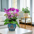 W&W Orchid Pot with Holes and Saucer for Repotting, Teal, 6.5" - Image 7