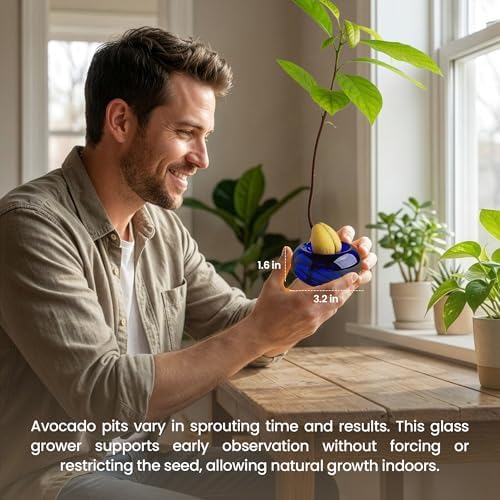 Glass Avocado Seed Vase for Growing – Hand-Blown Avocado Vase, Indoor Plant Vase and Avocado Planter Pot for Plant Growing (Dark Blue) - Image 6