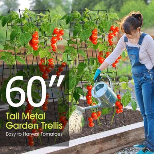 RIFNY Cucumber Trellis for Raised Bed, Garden Trellis 16.5 x 60 Inch, Black - Image 3