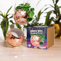Bubblegum Stuff - Rose Gold Disco Ball Hanging Planter - Hanging Basket for Indoor Plants, Rose Gold Chain, Rose Gold Rim, Herb Planter, Hanging Plant - Hanging Plant Pots - Room Decor 6 inch, BG2440 by BubblegumStuff