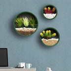 Pack of 4 Round Wall Planters Hanging Metal Plant Containers Circle Plant Holder Contemporary Morden Circle Iron Vase for Succulents or Herbs Cactus and More (Green) - Image 4