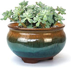 8 Inch Succulent Pot with Drainage and Saucer Glazed Terracotta Round Ceramic Succulent Planter Cactus Bonsai Plant Pot (Brown and Green) by SUMMERIMPRESSIONS