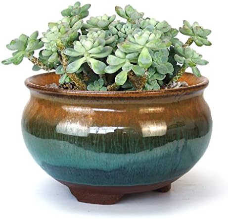 8 Inch Succulent Pot with Drainage and Saucer Glazed Terracotta Round Ceramic Succulent Planter Cactus Bonsai Plant Pot (Brown and Green) by SUMMERIMPRESSIONS