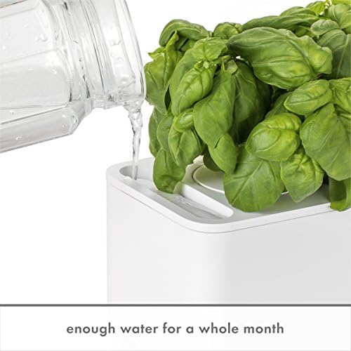 Click and Grow Smart Garden 3 Grey with Grow Light and 3 Basil and 3 Thyme Pods Bundle - Image 3