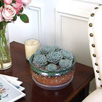 8 Inch Glazed Terracotta Plant Pot Round Ceramic Succulent Planter Pot with Drainage and Saucer Cactus Clay Pot Bonsai Pot (Dark Green Rim) - Image 5