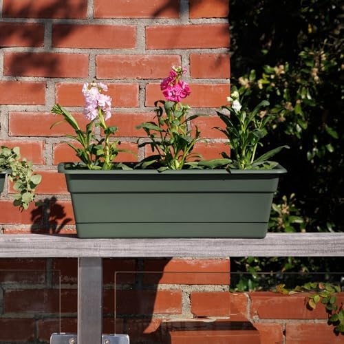 Bloem Dura Cotta 18" Plastic Window Box Planter with Saucer, Basil, 3-Pack - Image 2