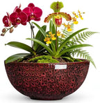Bowl Planter, 10 Inch Ceramic Bonsai Pots, Red Leopard by Unknown