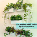 LaLaGreen Wall Planter (16 in, 3 Pack) White Metal Rectangular Succulent - Image 6