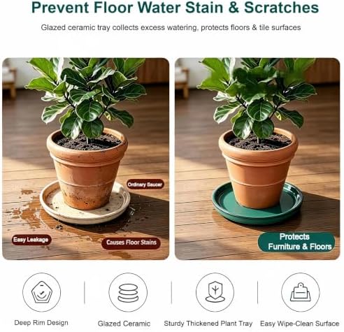 Ceramic Plant Saucer, 11.4 inch, Forest Green - Image 5