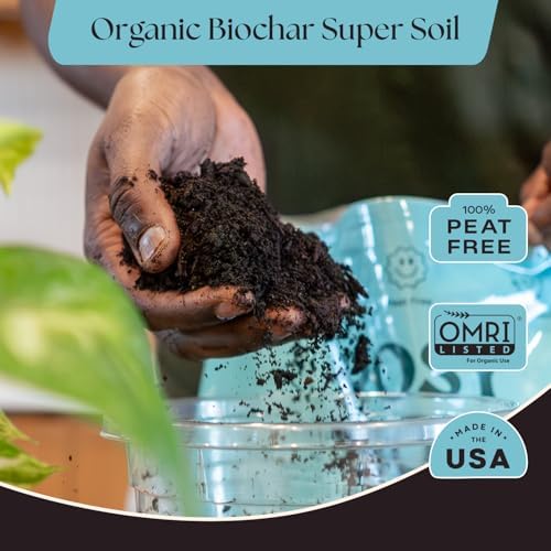Rosy Soil Houseplant Potting Soil, 8 Quarts, Pack of 2 - Image 2