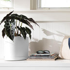 Bloem Mathers Round Planter with Saucer Tray: 10" - White - Modern Design, Durable Plastic Pot, Removable Saucer, for Indoor & Outdoor Use, Gardening, 2.6 Gallon Capacity - Image 2