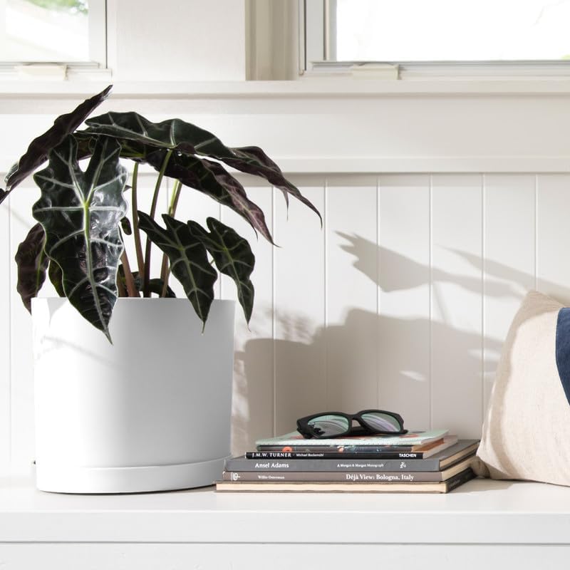 Bloem Mathers Round Planter with Saucer Tray: 10" - White - Modern Design, Durable Plastic Pot, Removable Saucer, for Indoor & Outdoor Use, Gardening, 2.6 Gallon Capacity - Image 2