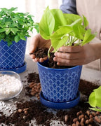 EFISPSS Ceramic Plant Pots, 5Inch Pots for Indoor Plants, Planters with Drainage Holes and Ceramic Tray,Plant Lover Gift, Desktop Office Windowsill Decoration Gift Set of 4 - Blue - Image 2