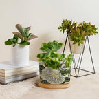 Green and White Floral Planter Ceramic Chinoiserie Flower Round Flower Pots with Drainage Holes and Bamboo Tray Pot for Outdoor Garden Home Plant - Image 4
