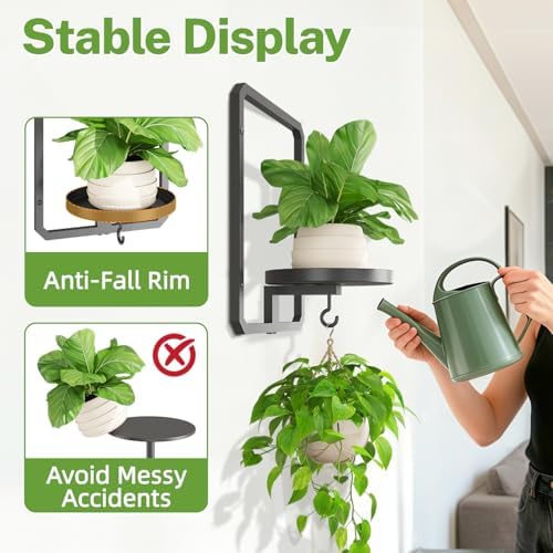 iDavosic.ly Wall Plant Picture Frame Holder Set of 3 for Indoor, Black - Image 4