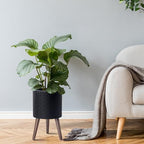 D'vine Dev Planter Pot with Wood Stand, 10 in, Matte Black, 88-Z-B-2 - Image 2