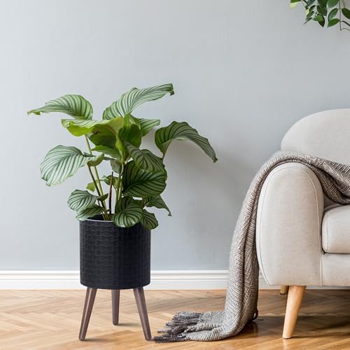 D'vine Dev Planter Pot with Wood Stand, 10 in, Matte Black, 88-Z-B-2 - Image 2