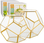 D'Eco Glass Gold Sphere Plant Terrariums & Centerpieces, 2 Pack - Image 2